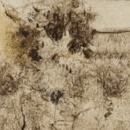 1944, alberi e casolare, disegno a carboncino, 28X22